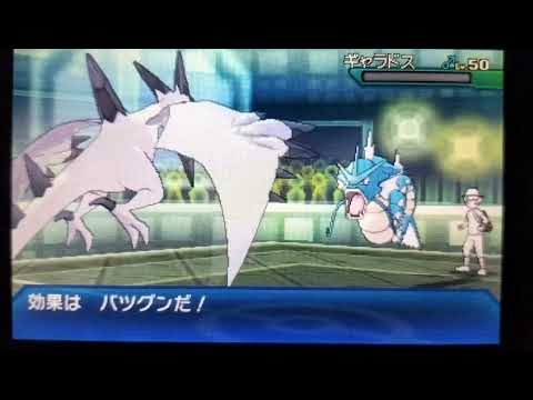 めざ炎フェローチェで焼く【ポケモンUSUM】