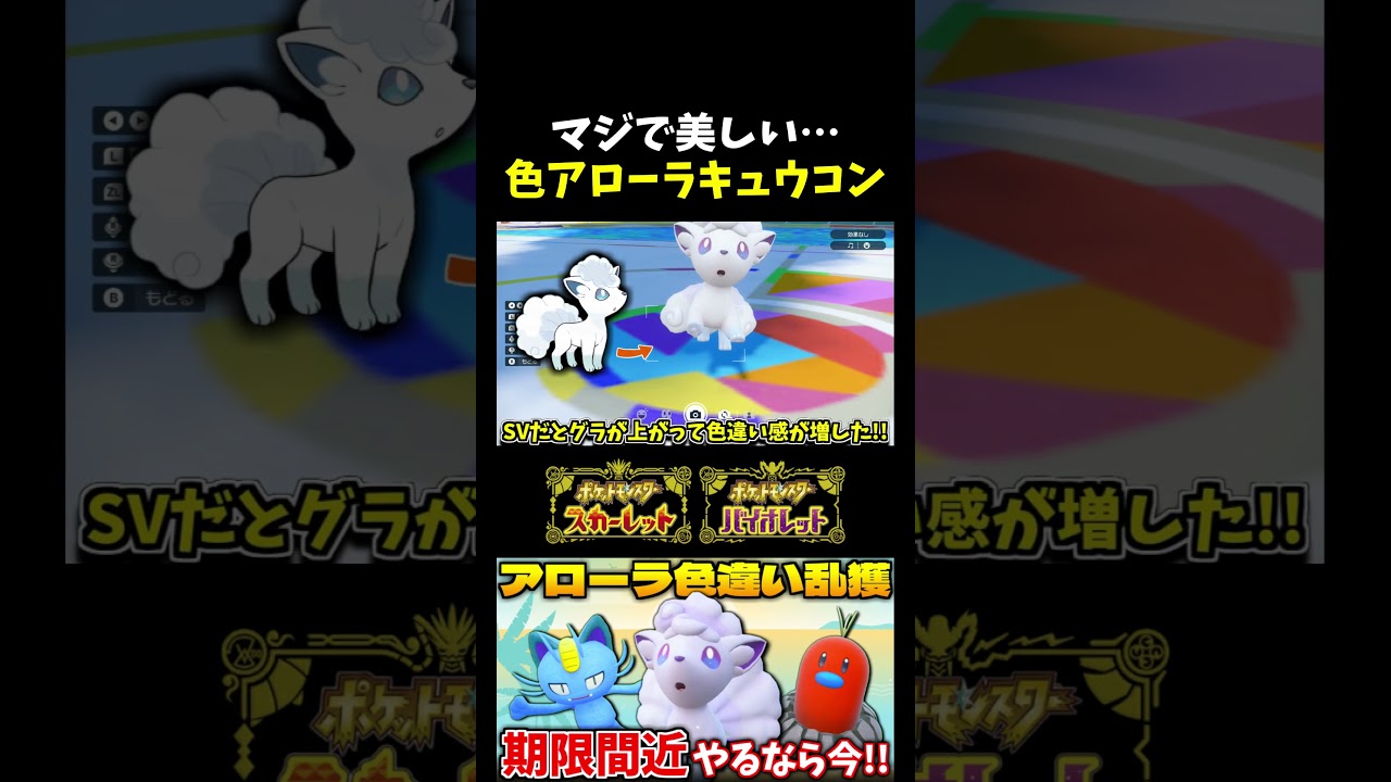 【ポケモンSV】美しい…!!色違いアローラロコンをUSUMで捕まえたのでSVで皆大好きアローラキュウコンに進化させてみた!!【切り抜き】【色違いポケモン】【色違い厳選】#shorts