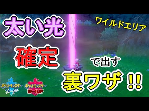 「ワイルドエリア」太い光を確定で出現させる裏ワザ！！【ポケモンソードシールド】【ポケモン剣盾】