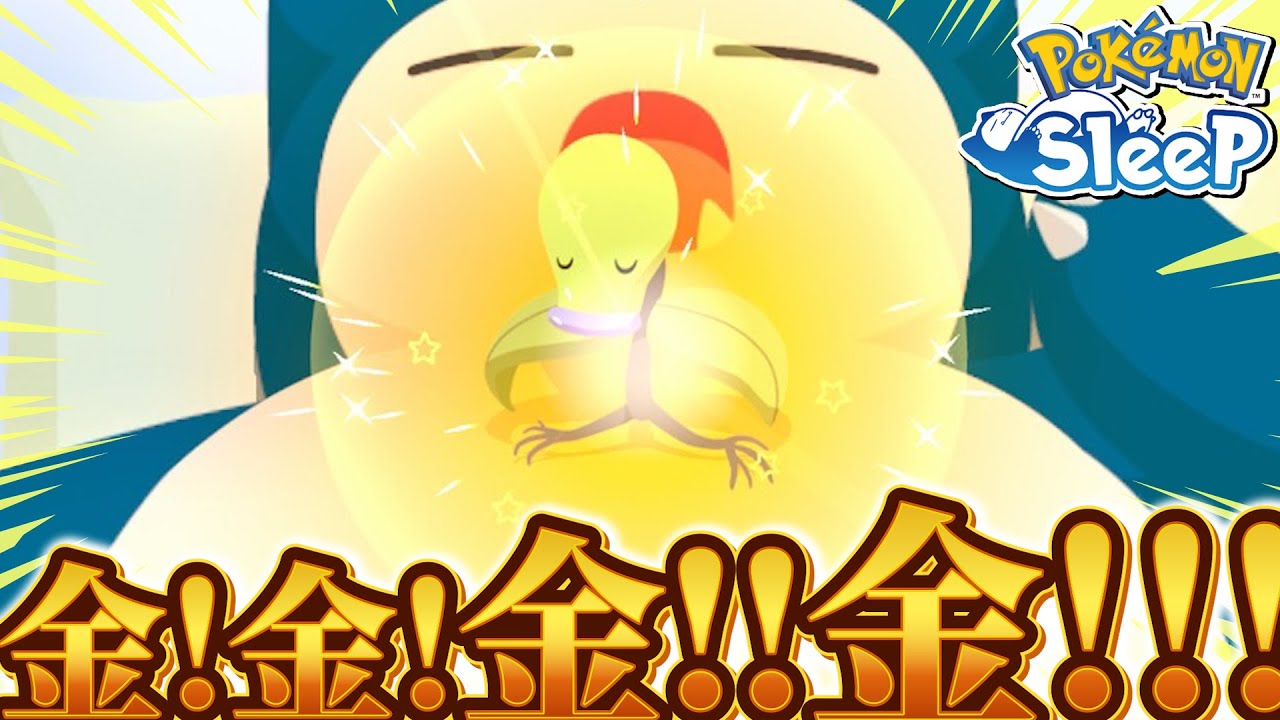 まだ間に合う！金色のマダツボミを使う世界線！！【ポケモンスリープ】