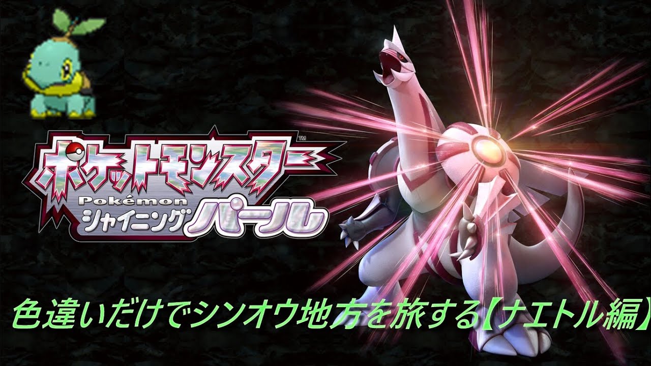 色違いだけでシンオウ地方を旅する【ナエトル編】３８３０～