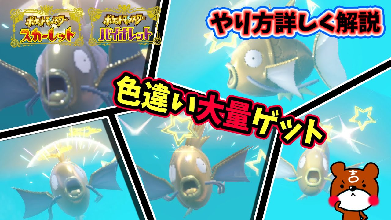 【ポケモンSV】GWイベント！ゴールデンなチャンス！？黄金の色違いコイキングを30分で何匹仲間にできる！？赤ギャラドスにも進化させたい！ポケモンスカーレットバイオレット