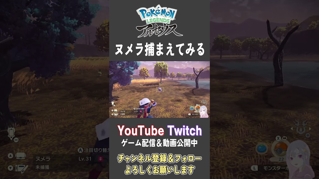 ヌメラ捕まえてみる【Pokemon LEGENDS アルセウス】【#Shorts】【#135】