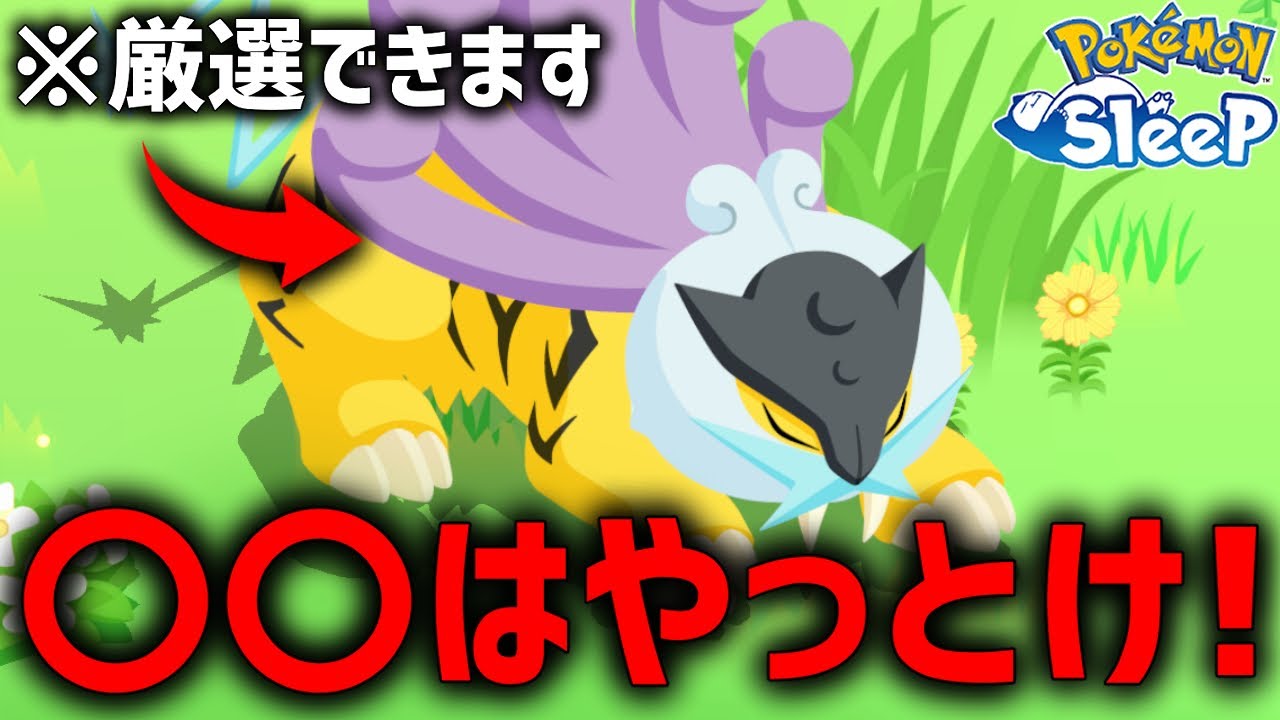 ライコウ厳選するなら1日でも早く〇〇しないと【ポケモンスリープ】