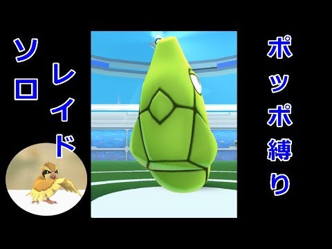 【ポケGO実況】無謀な挑戦？ポッポ1体でトランセル倒したい！