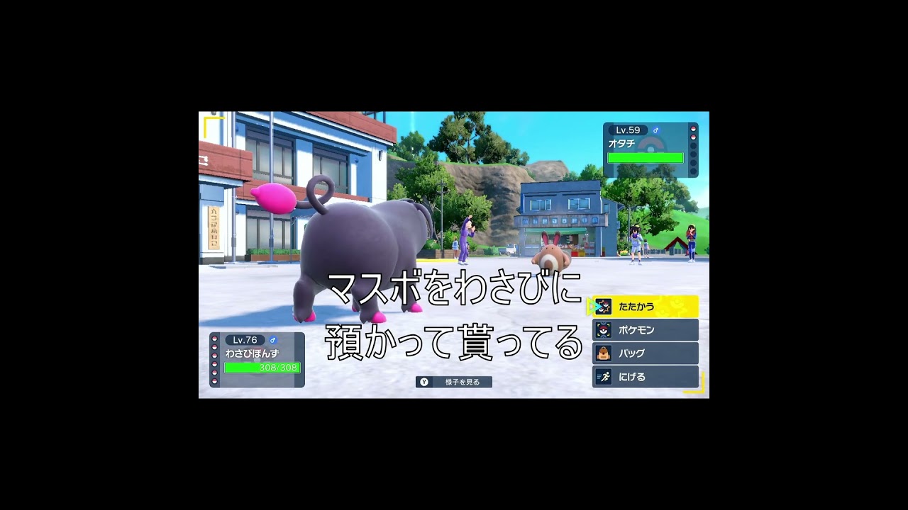 へっぽこトレーナーはお見通しよ！byオタチ【ポケットモンスターバイオレット　碧の仮面】