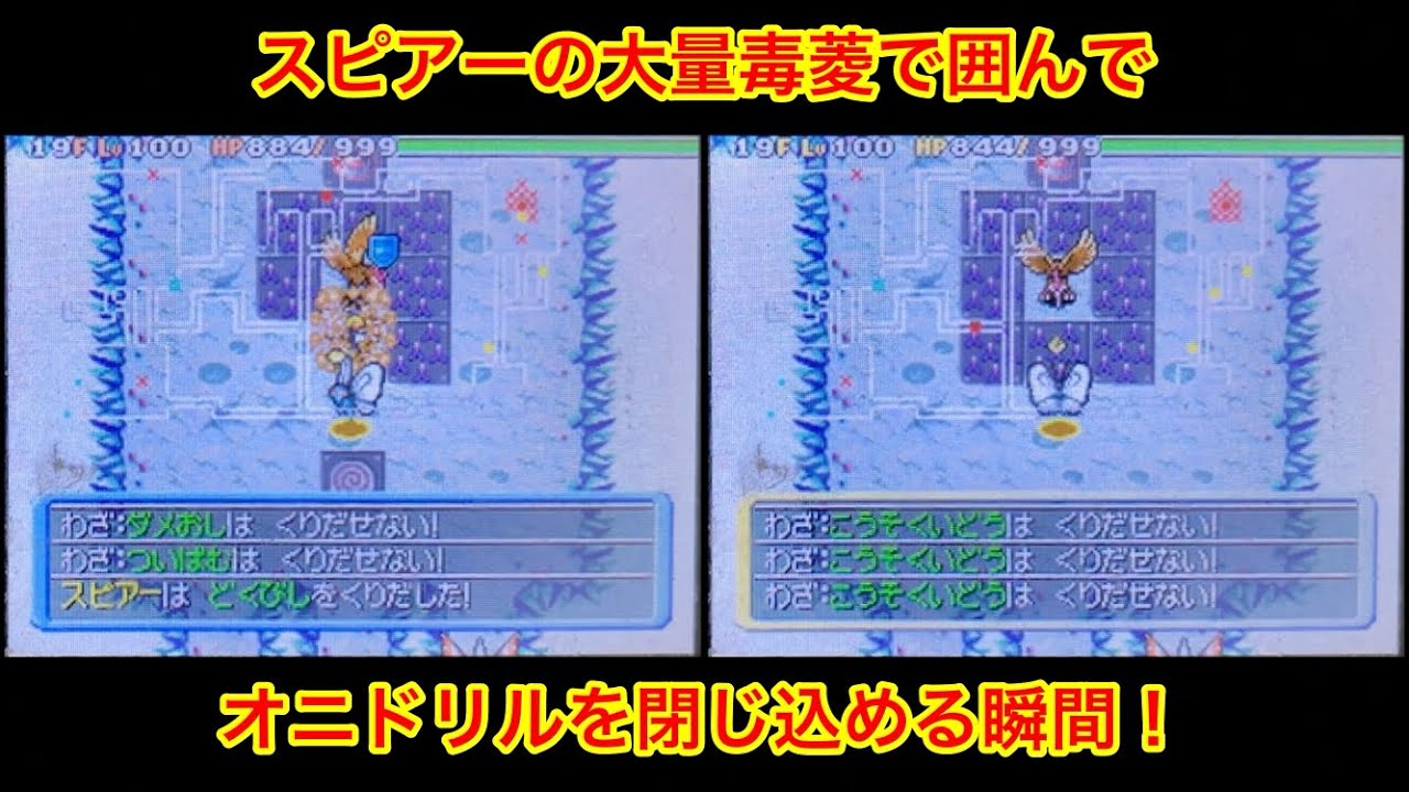 【ポケモンダンジョン時】 スピアーの毒菱でオニドリルを閉じ込める瞬間！