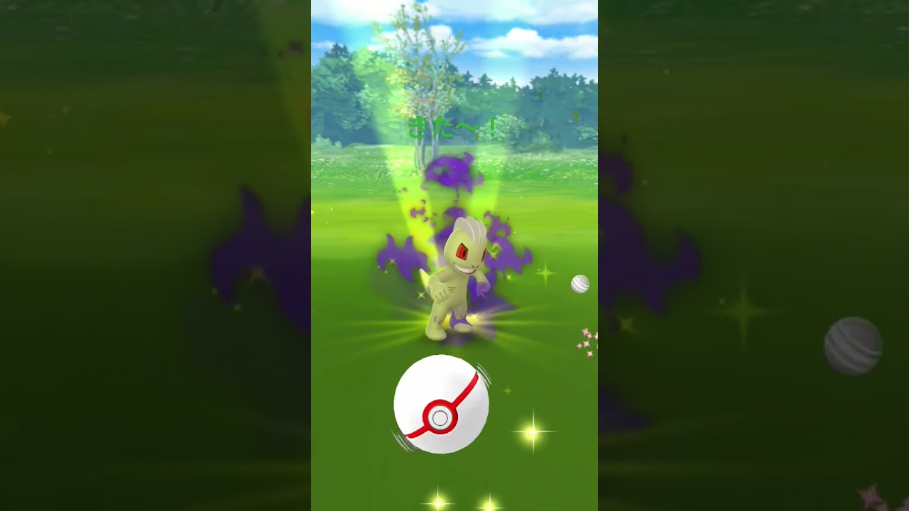 色違いシャドウワンリキーキタ〜！＃Pokémon＃色違い