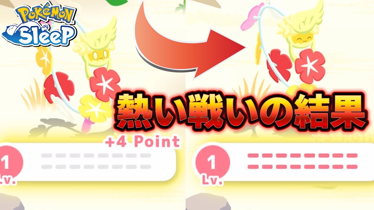 キュワワーとの激戦を見逃すな！奇跡のゲット劇！【ポケモンスリープ】