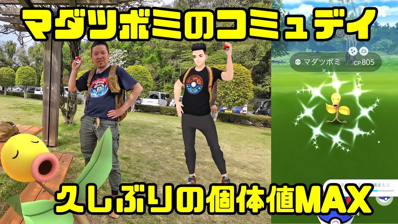 【ポケモンGO】砂三倍！久しぶりの個体値MAX！マダツボミのコミュデイ