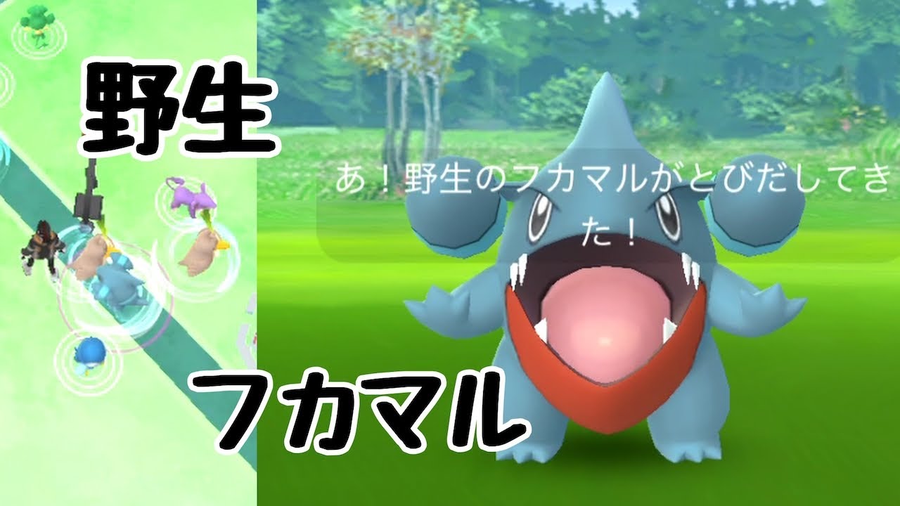 【ポケモンGO】フカマル！野生！捕獲！　シンオウ地方イベント