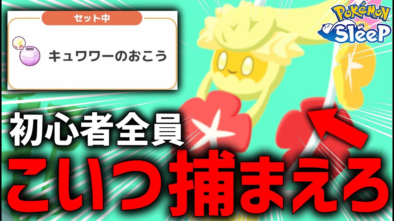 初心者であればあるほどキュワワー捕まえるべき理由【ポケモンスリープ】