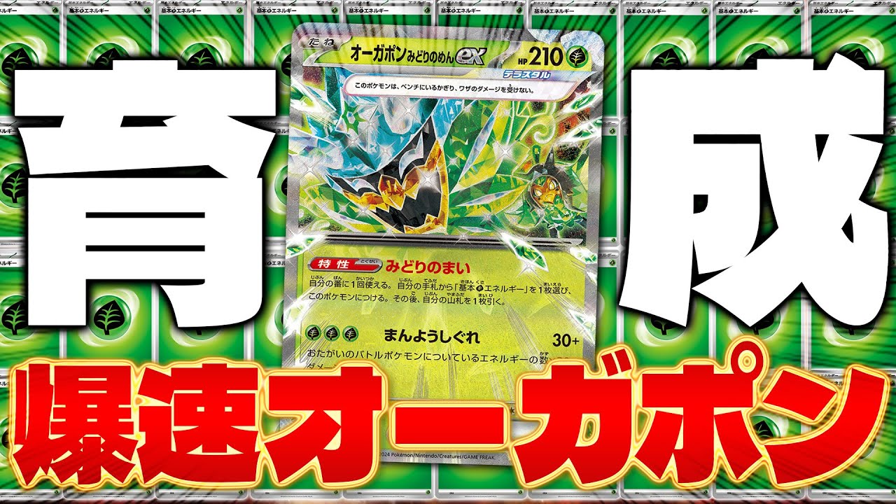 【ポケカ/対戦】一瞬で育成!!あまりにも早過ぎるオーガポンex（Ogerpon ex)