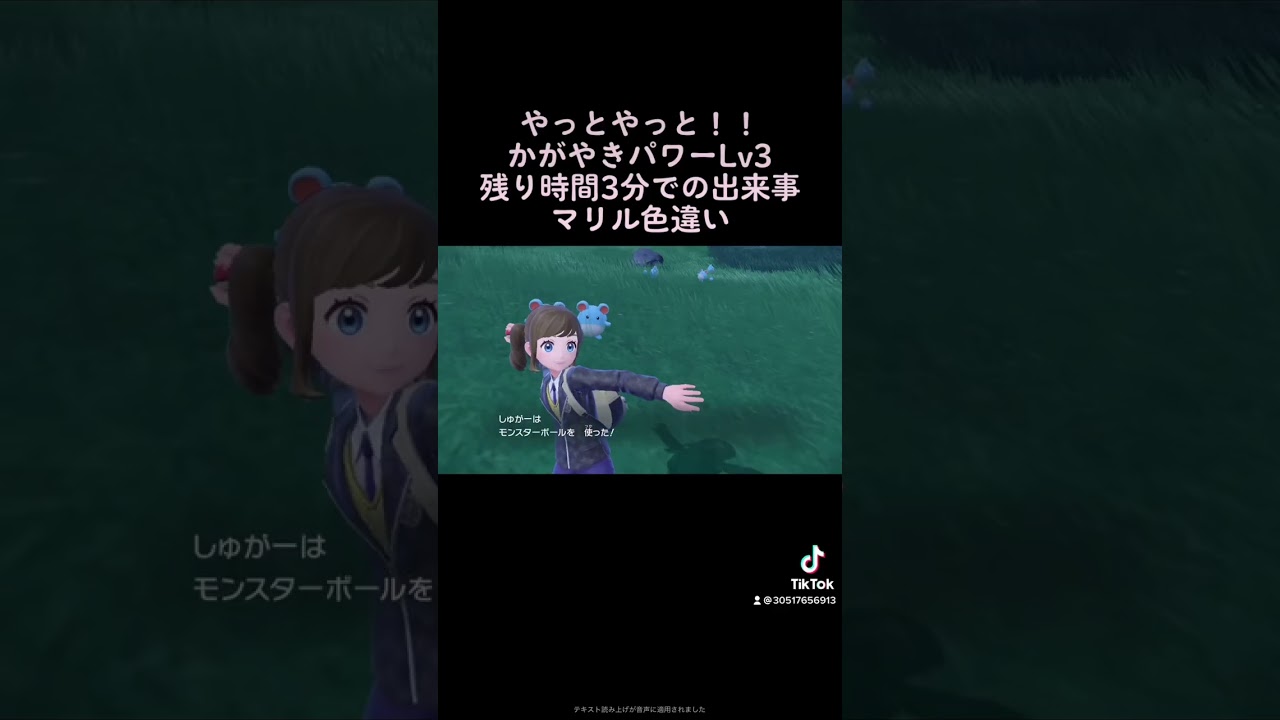 ポケモンSV 色違いマリルはちゃんと現れる！！(ひかるおまもりなし)