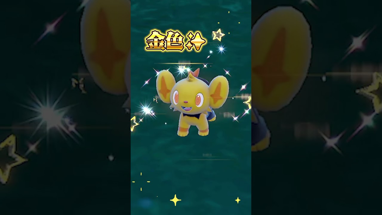 色違いコリンクがまぶしすぎる...【ポケモンSV】