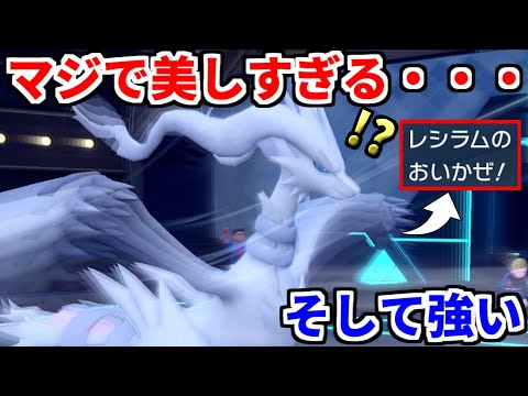 禁伝なのにおいかぜを打つ"レシラム"が見た目も実力も圧倒的すぎるｗｗｗｗｗｗ【ポケモンSV実況】