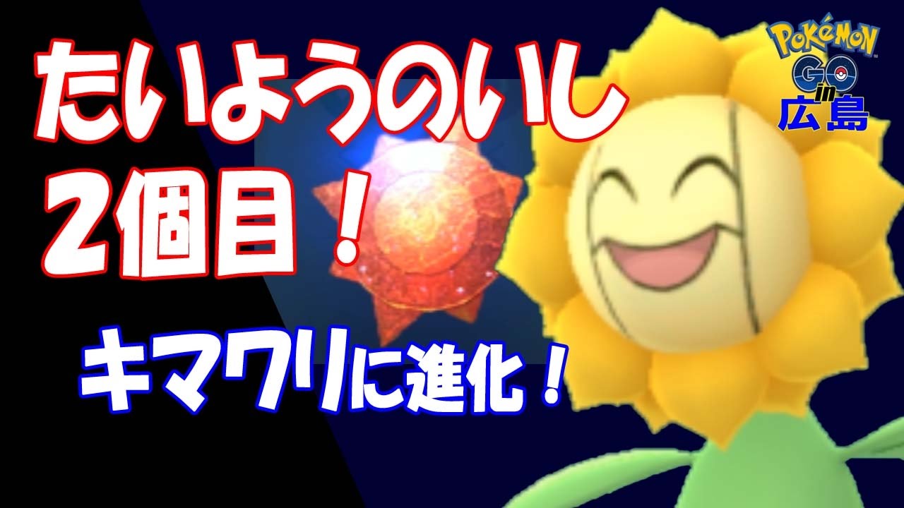 [ポケモンGO]たいようのいし2つ目！ヒマナッツをキマワリに進化