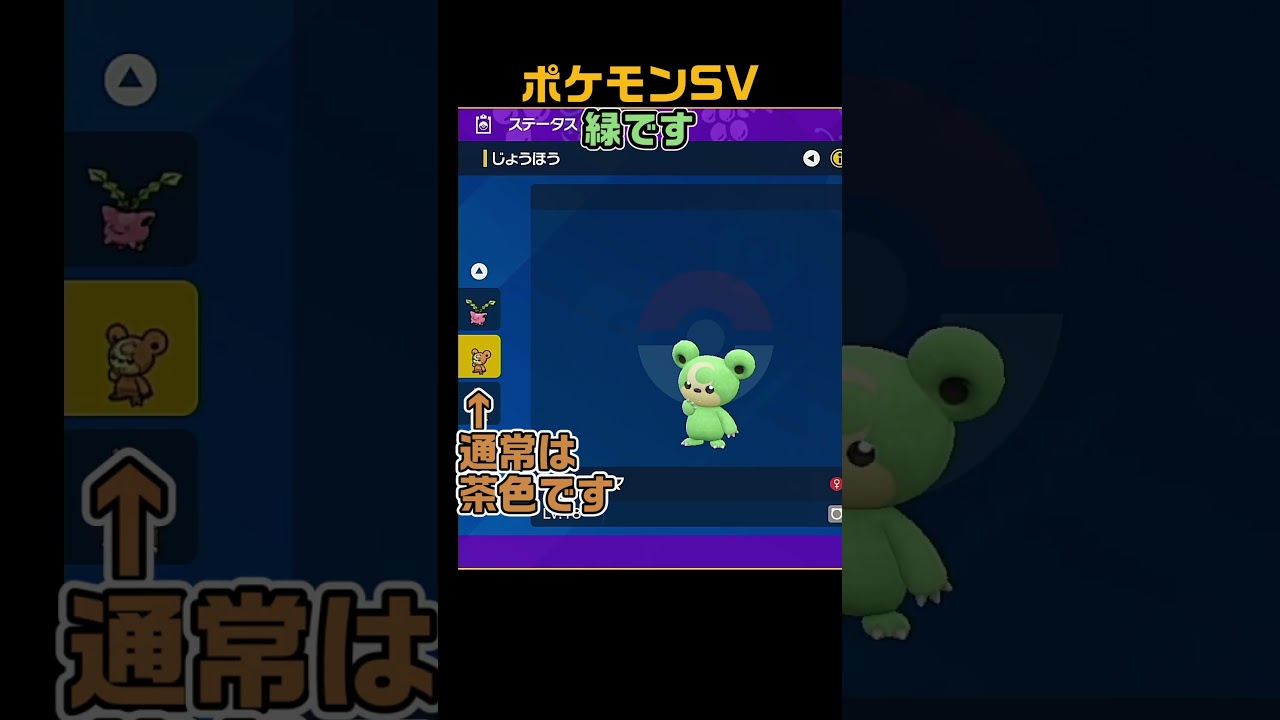 色違いヒメグマ　 #shorts　ポケモンSV