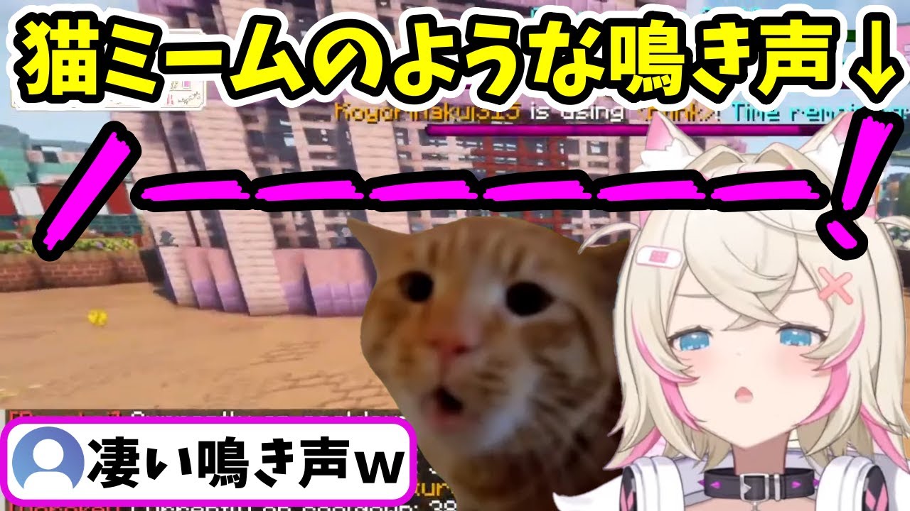 猫ミームに出てきそうな鳴き声で逃げ回る魔界の番犬モココ【フワモコ / ホロライブ切り抜き】