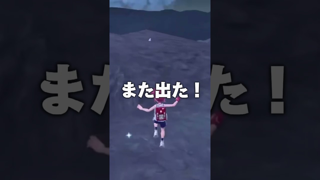 ヒトモシの色証厳選 #ポケモンsv