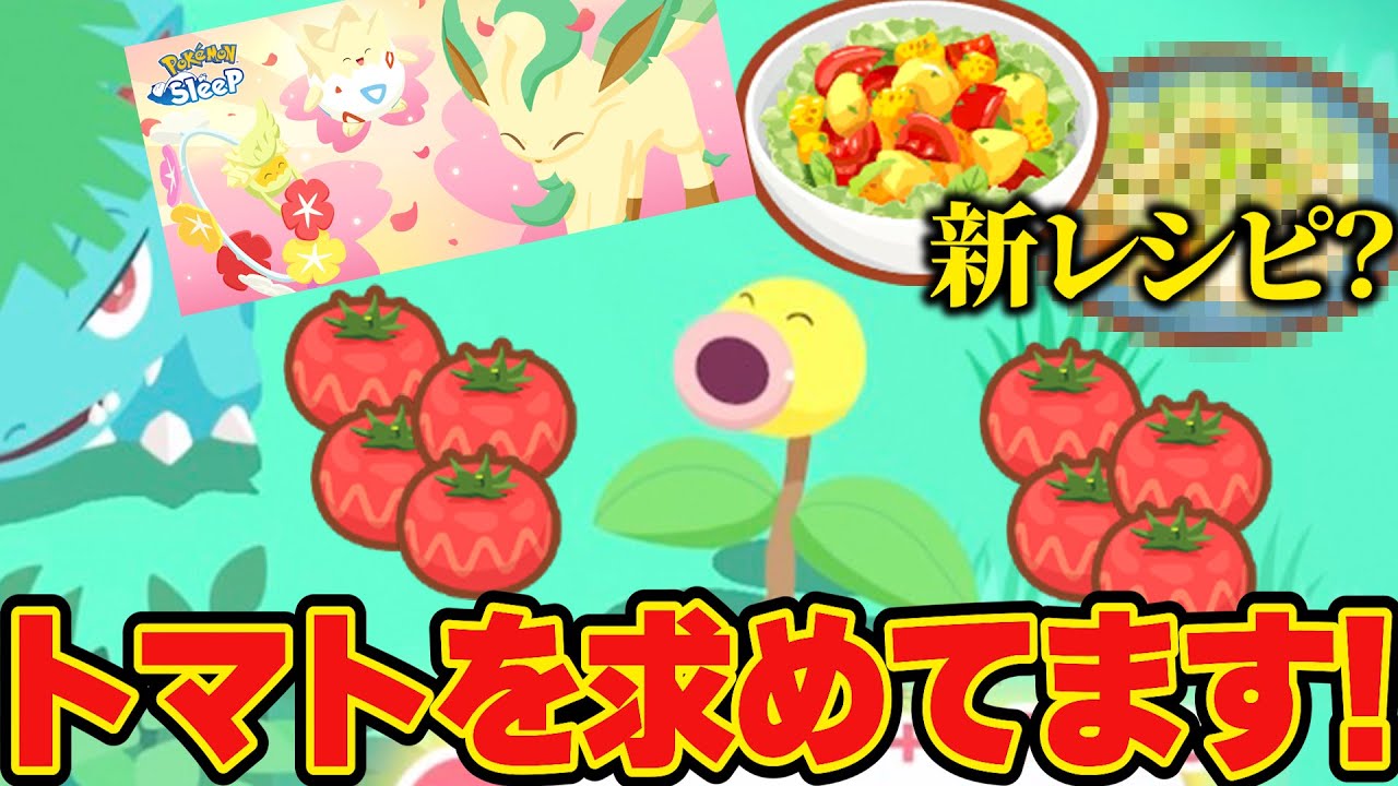 フラワーフェスティバルで新レシピくるか？今はマダツボミがいっぱい欲しい【ポケモンスリープ】