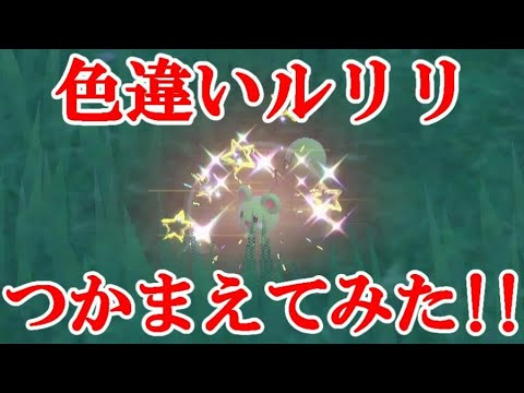 【ポケモンSV】色違いルリリつかまえてみた！！