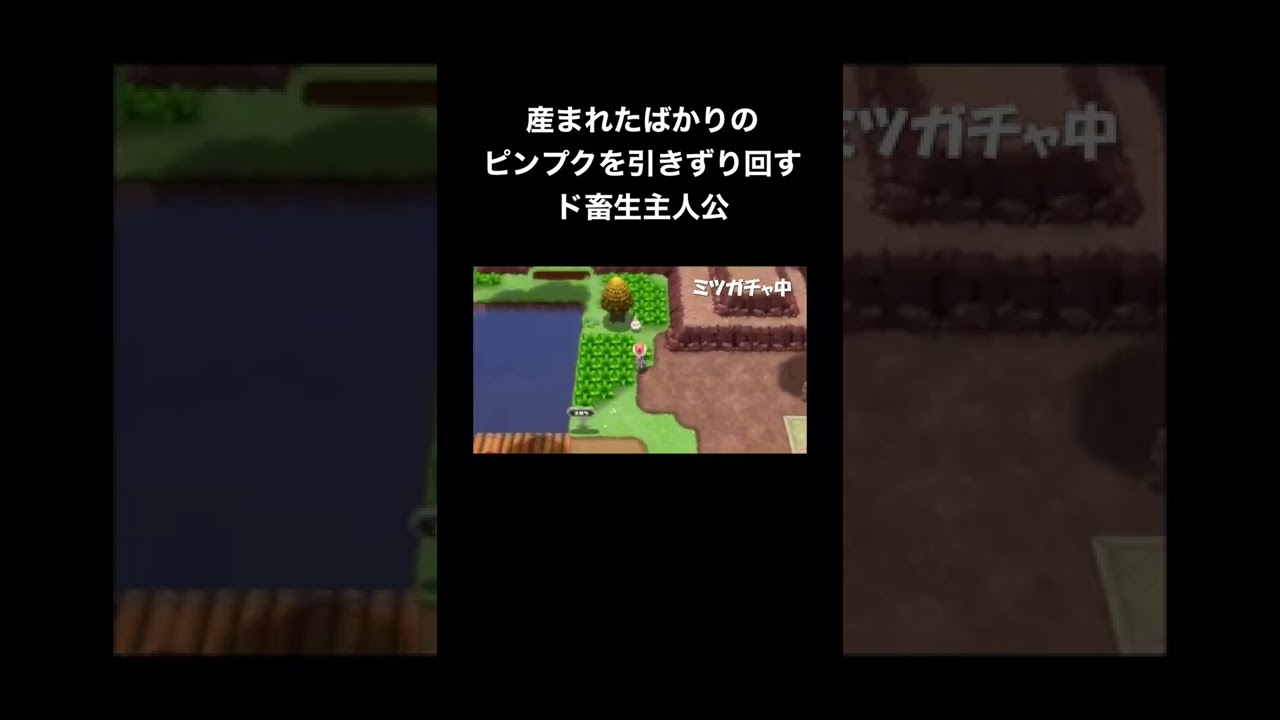 自転車で引きずり回されるピンプク【ダイパリメイク】【ポケモンBDSP】#shorts