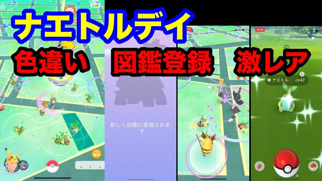 【ポケモンGO】ナエトルデイで色違い探ししてたら激レア出た！【コミュニティデイ】