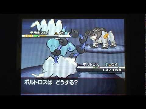 ポケットモンスターホワイト　テラキオン戦
