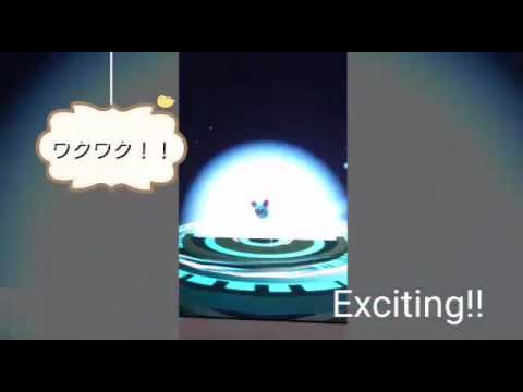 大人気！！ポケモンGO　進化　　スバット→ゴルバット　Popular !! Pokemon GO evolution Zubatto → Gorubatto