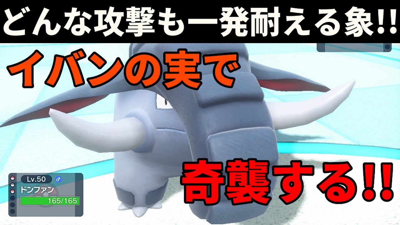 頑丈な体を持つ象「ドンファン」を活躍させたい！【ポケモンSV】