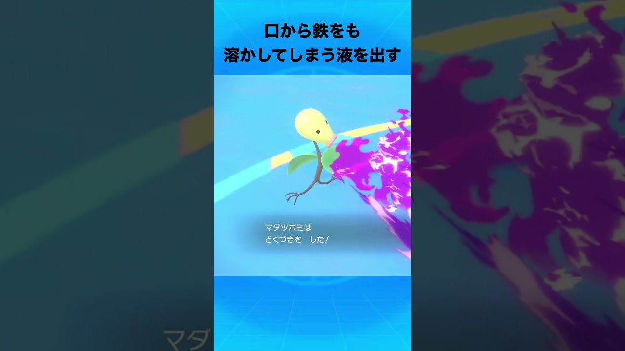 マダツボミについて #ポケモン #マダツボミ