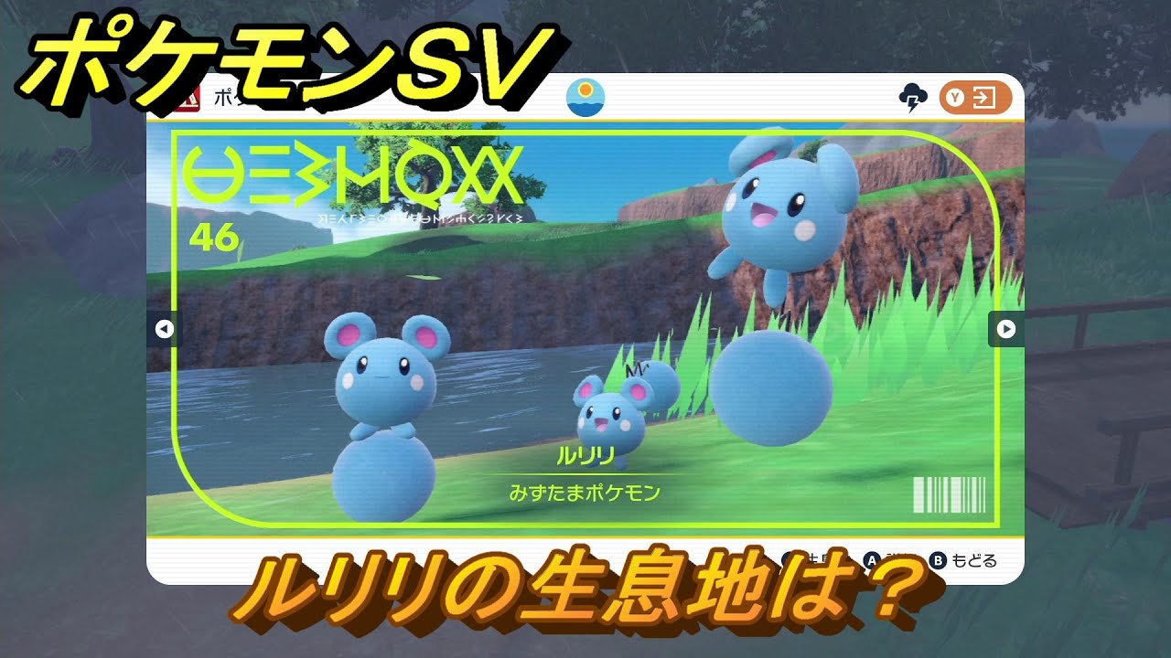 ポケモンＳＶ　ルリリの生息地は？図鑑No.４６　おすすめ場所紹介！ポケモン図鑑を完成させよう！　【ポケモンバイオレット・スカーレット】