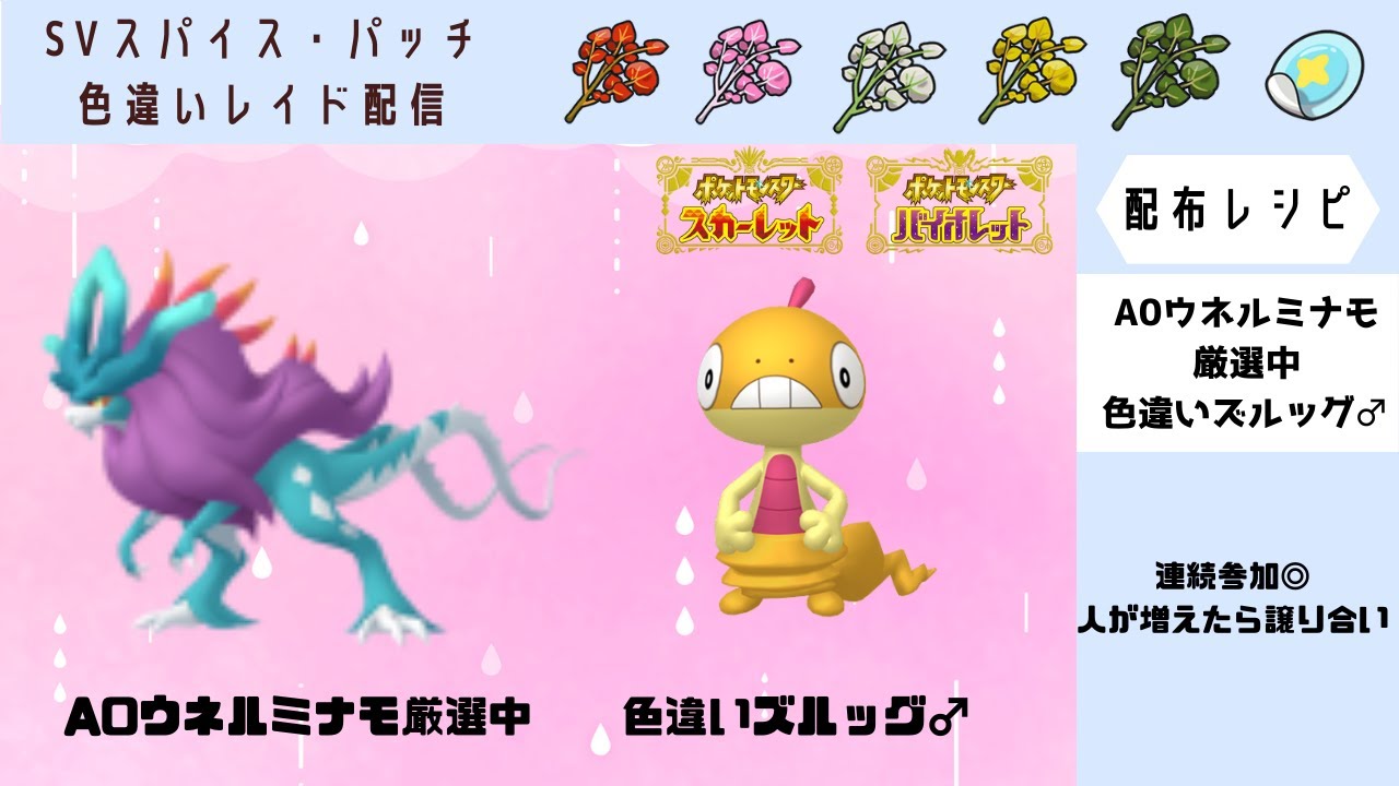 【ポケモンSV】色違いズルッグ♂配布　乱獲OK!　色違い探しの旅
