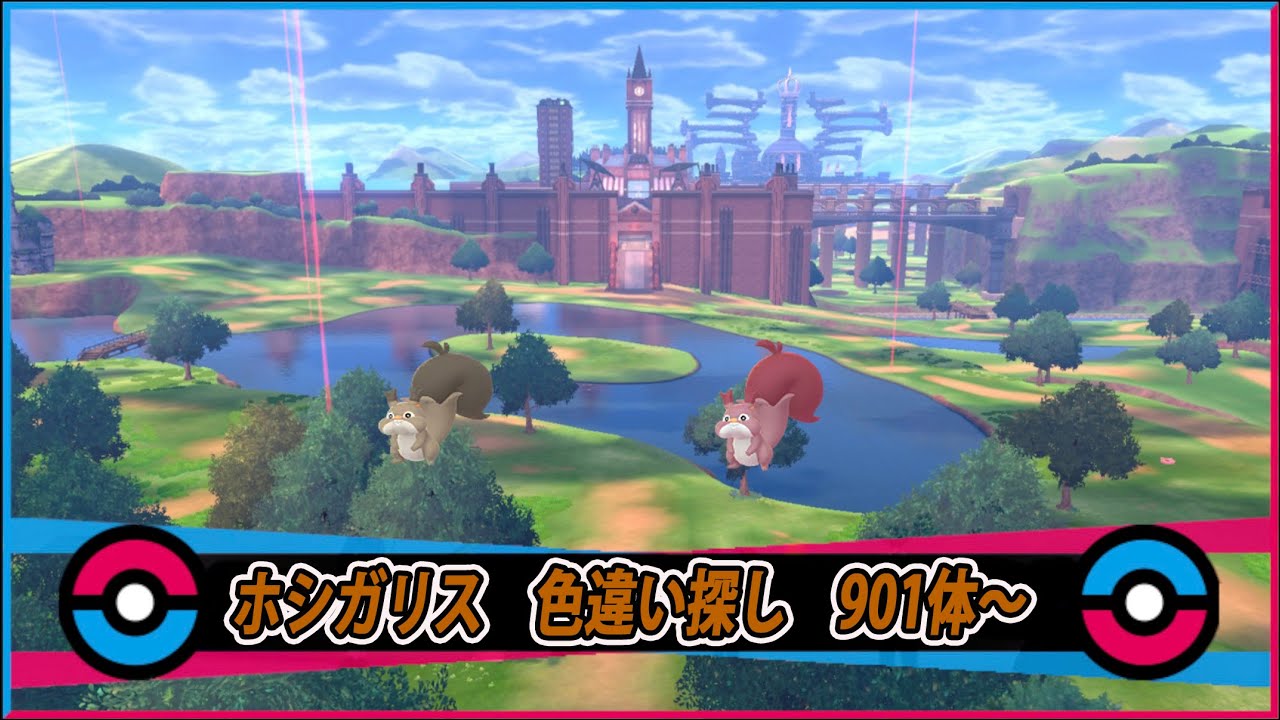 【生配信】ポケモン剣盾　ホシガリス色違い探し　901体～