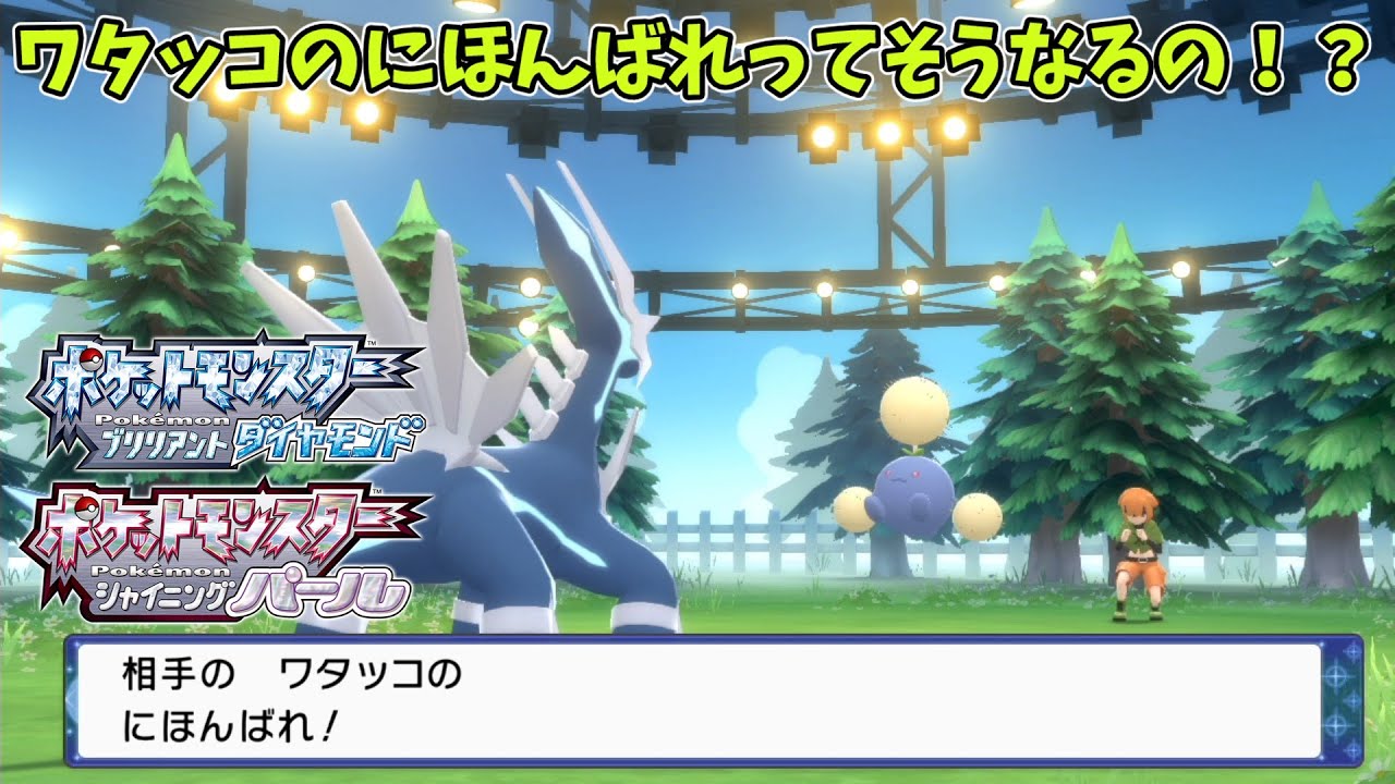 ワタッコのにほんばれってそうなるの！？【ポケモンダイパリメイク】【ＢＤＳＰ】【ナタネ】【ワタッコ】