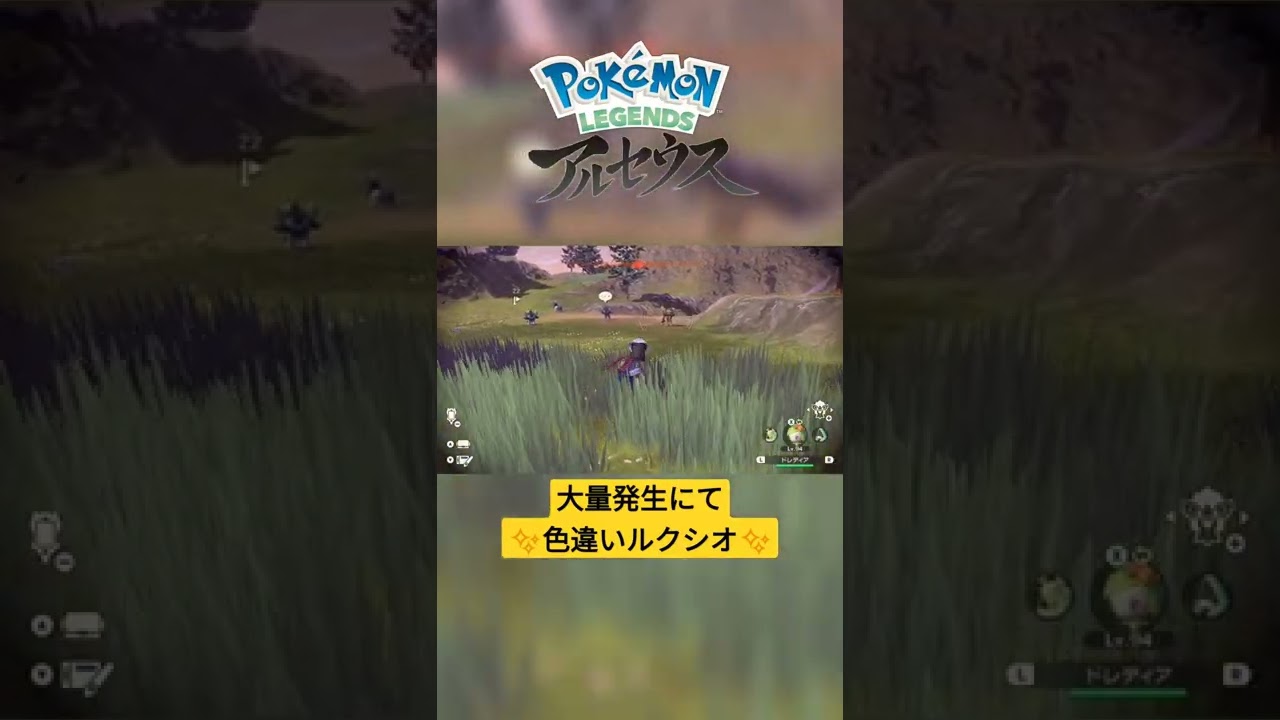 【色違い】Pokémon LEGENDS アルセウス『ルクシオ』大量発生にて色違い✨ #shorts