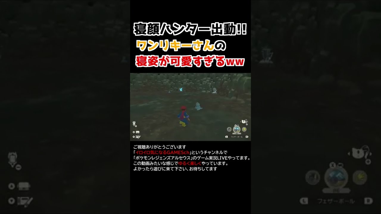 ワンリキーさんの「寝姿」が可愛すぎるww【Pokémon LEGENDS アルセウス】【寝顔ハンター】