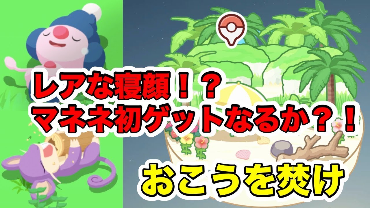 レアな寝顔をゲットする方法？！！＋マネネチャレンジ【ポケモンスリープ】【本日のリサーチ】