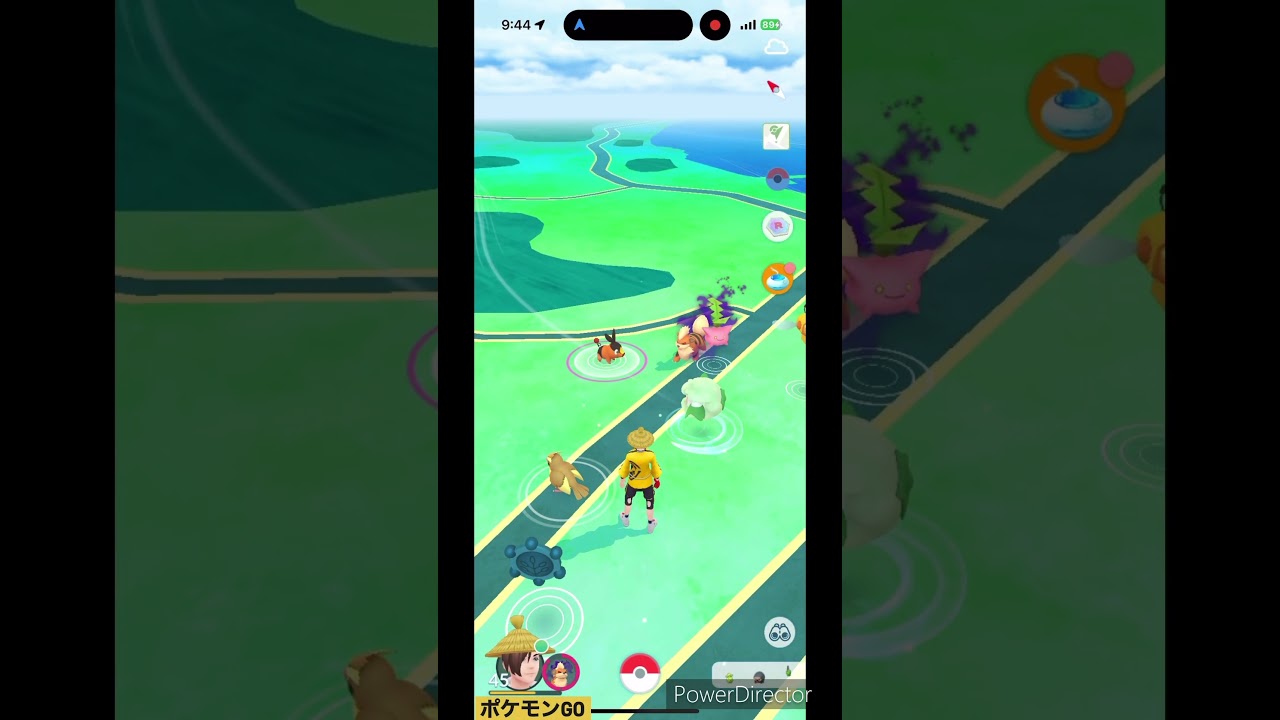 ミニポカ #pokemon #ポケモンgo #ポケモン #ポカブ