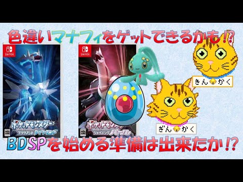 【ダイパリメイク】色違いマナフィをゲットできるかも⁉BDSPを始める準備はOK？【幻のポケモン】