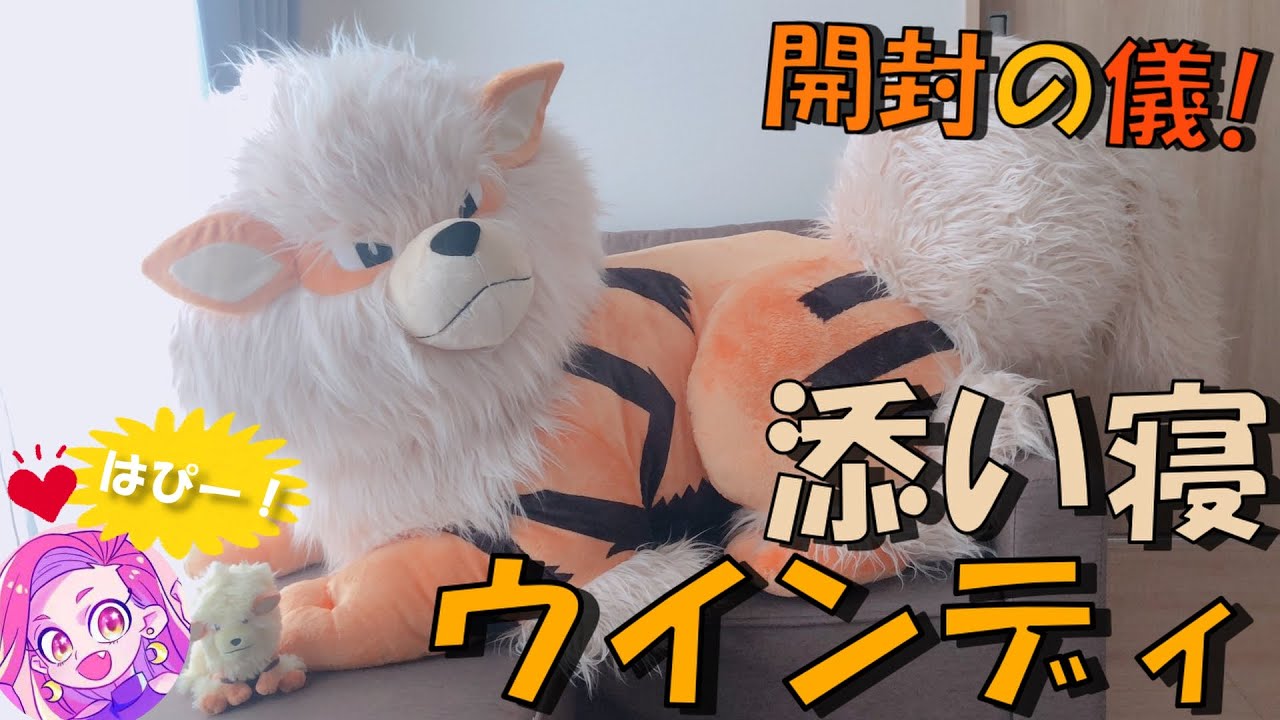 ついに届いた！添い寝ウインディ🔥🔥🔥