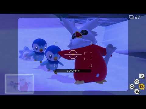 Newポケモンスナップ　★2デリバード【5374】