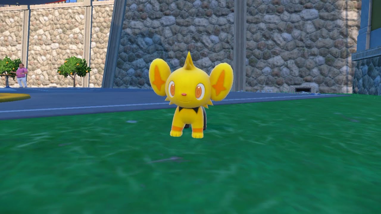 色違いルクシオを捕まえる回