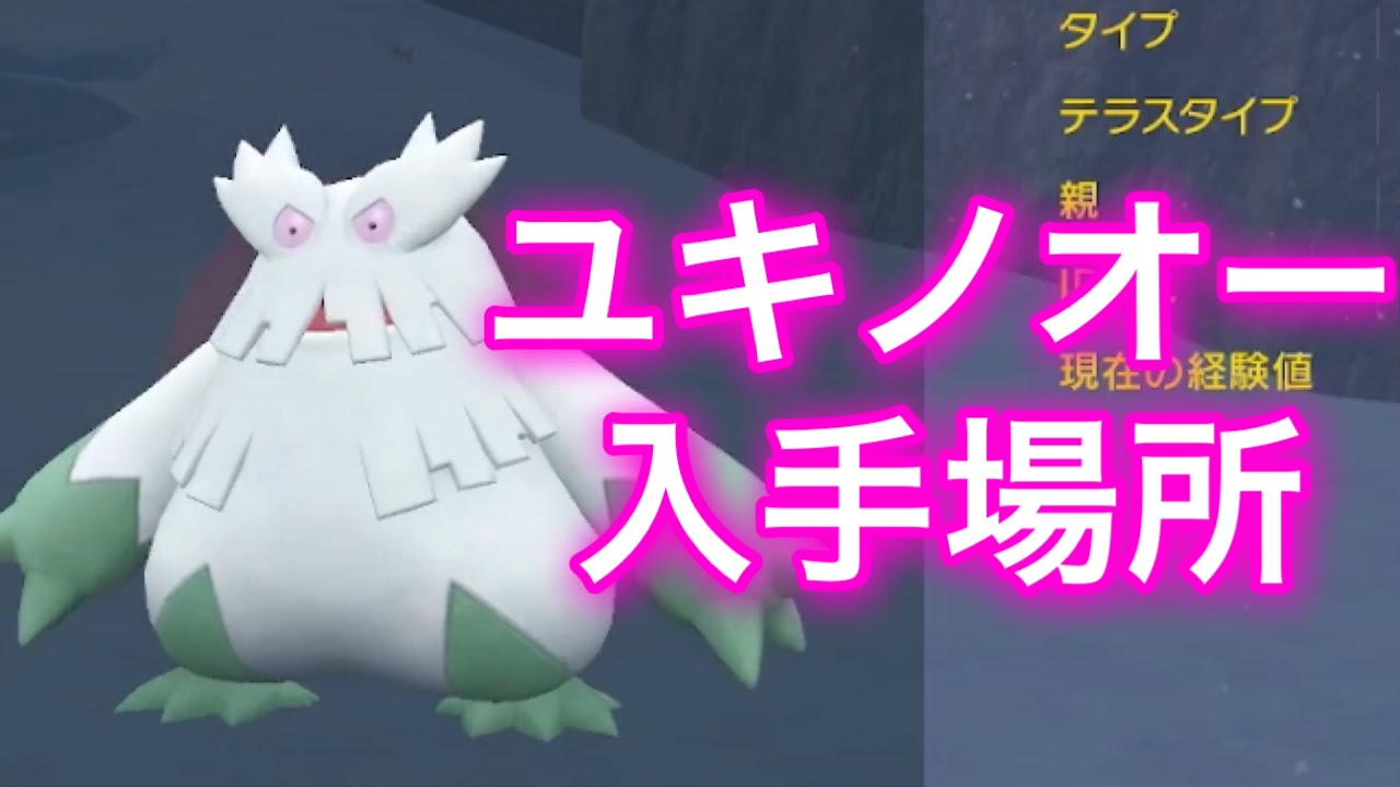 【ポケモンSV】【藍の円盤】ユキノオー入手場所