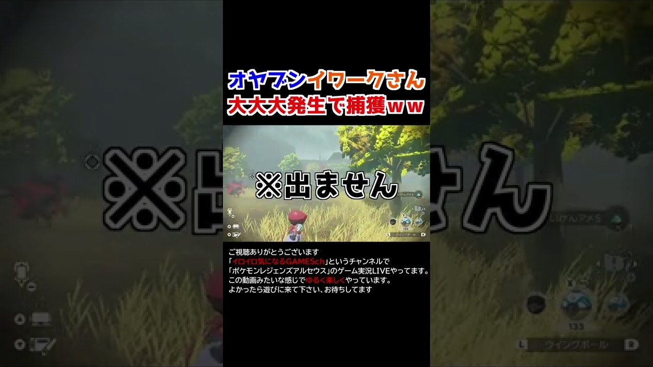 オヤブンイワークさんの大大大発生に遭遇！！【Pokémon LEGENDS アルセウス】