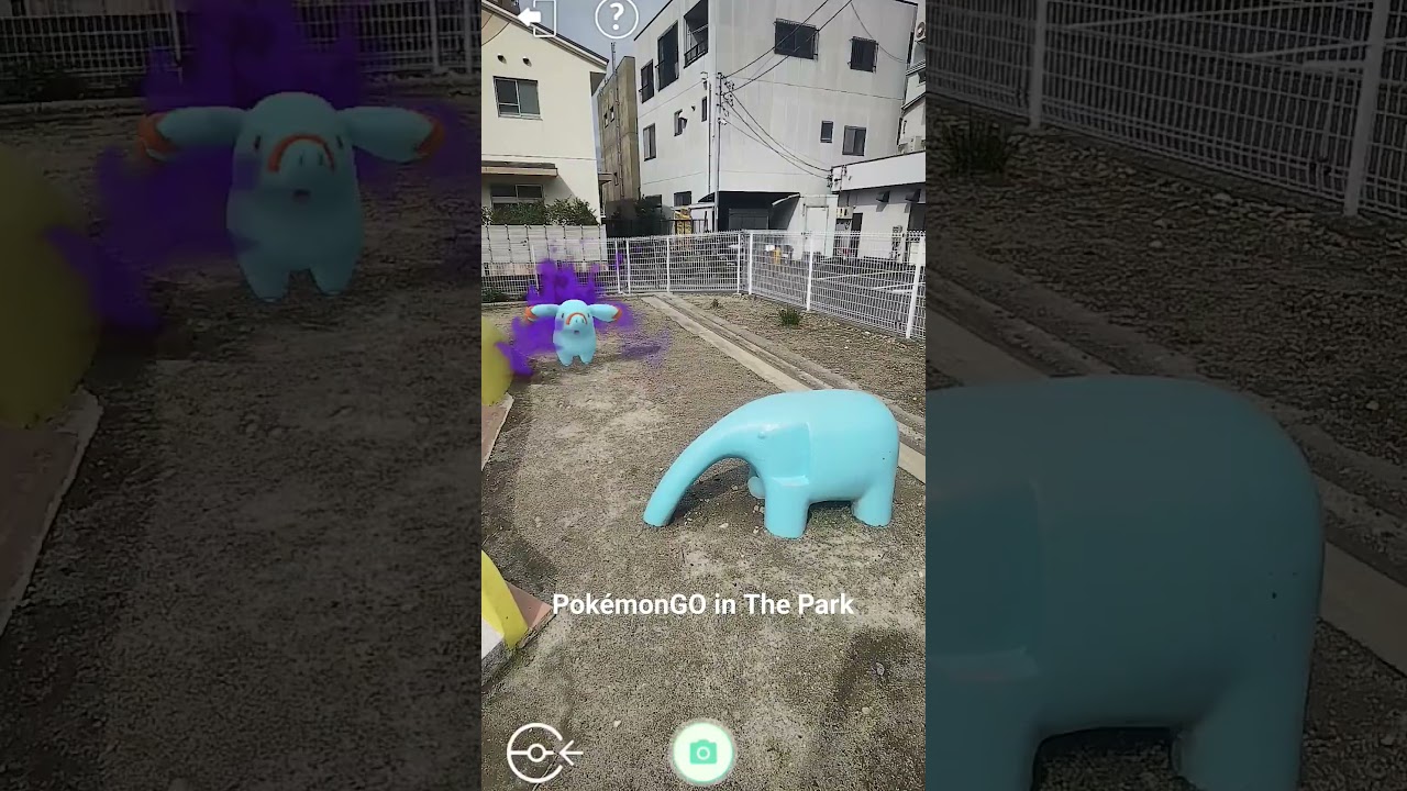【PokémonGO】モクロー、ゴマゾウ、スワンナ【AR】 #ポケモン #Pokémon　#pokémongo