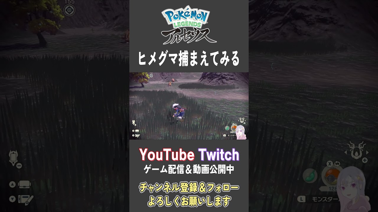 ヒメグマ捕まえてみる【Pokemon LEGENDS アルセウス】【#Shorts】【#147】