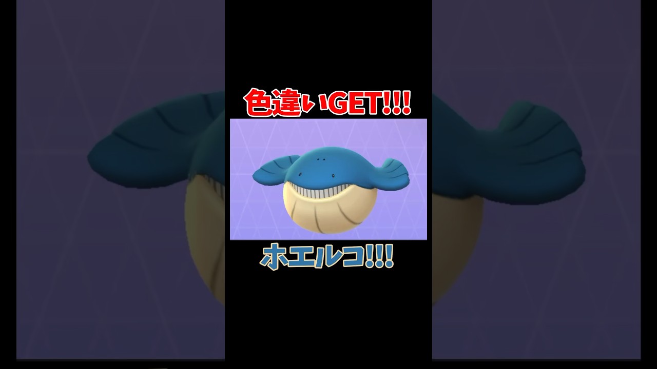 【ポケモンGO】色違いGET!!!ホエルコ!!!#pokemon #ポケモン #pokemongo #ポケモンgo #shinypokemon #色違い #Wailmer#ホエルコ