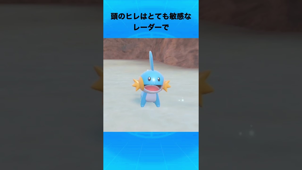 ミズゴロウについて #ポケモン #ミズゴロウ #御三家